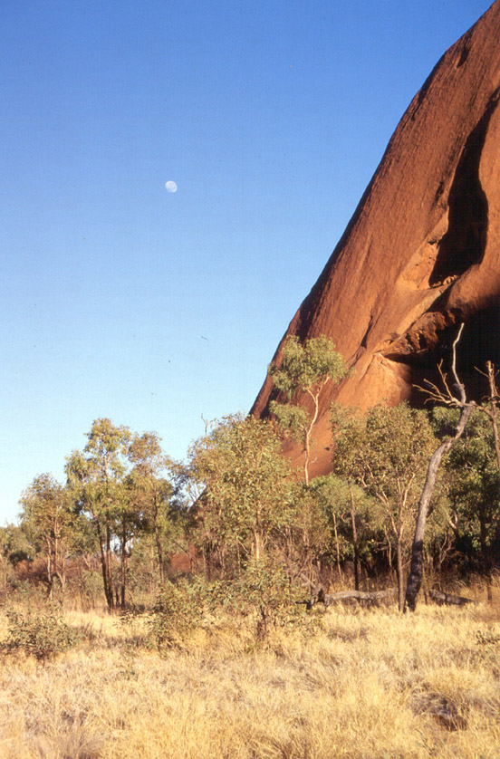 Edge of Uluru