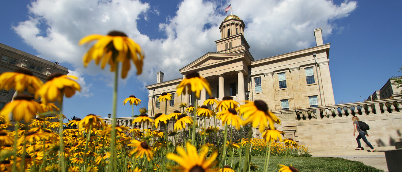 Yellow daffodils in front of the Old Capitol on the campus of the University of Iowa.